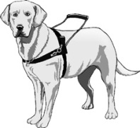 Service Animal Materials for Your Cruise Provided by Special Needs Group